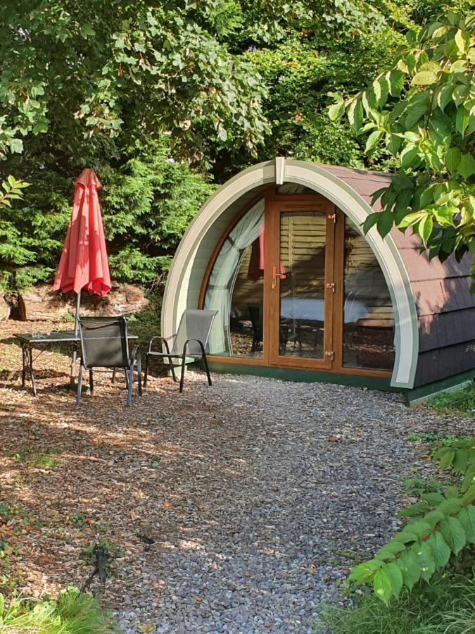 Priory Glamping Pods And Guest Accommodation Килларни Экстерьер фото